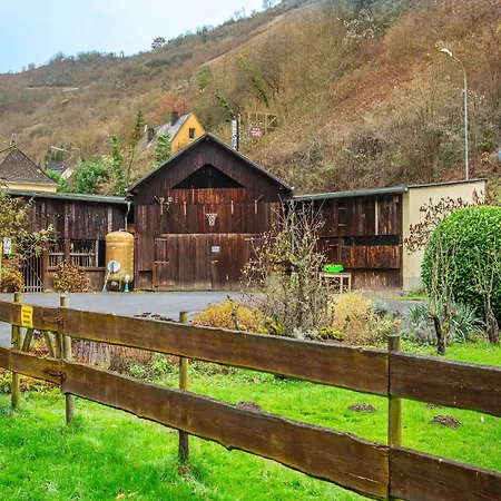 Nyaraló Winery Retreat In Germany With Wine Cellar Biebernheim